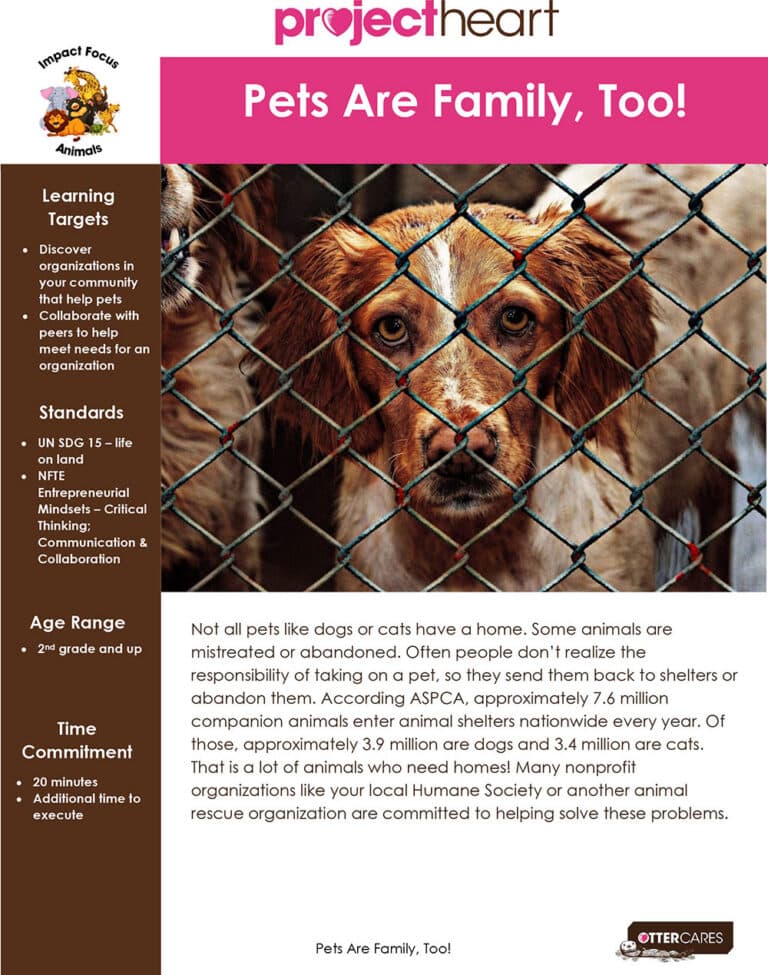 Pets Are Family, Too!